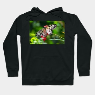 ali black on white butterfly Hoodie